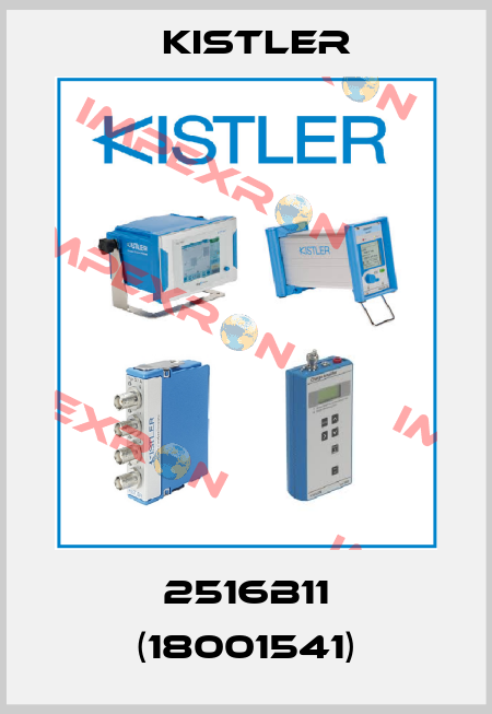 2516B11 (18001541) Kistler