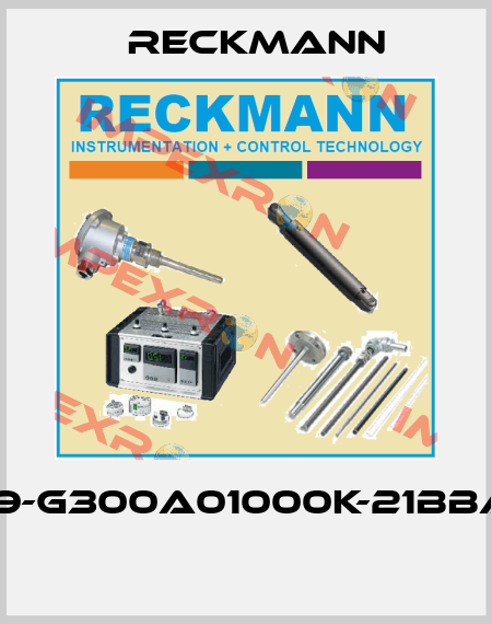 1R9-G300A01000K-21BBAX  Reckmann
