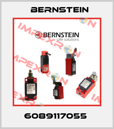 6089117055  Bernstein