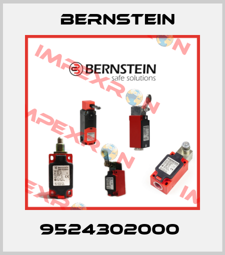 9524302000  Bernstein