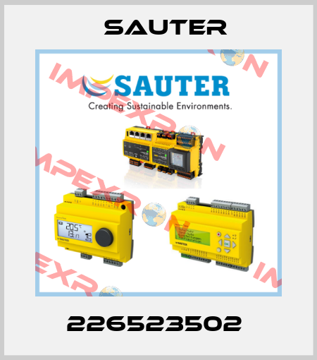 226523502  Sauter