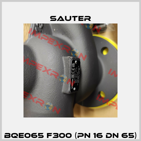 BQE065 F300 (PN 16 DN 65) Sauter