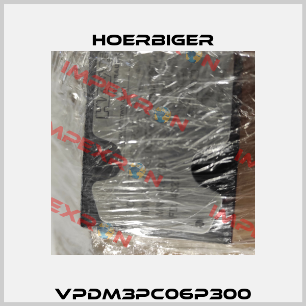 VPDM3PC06P300 Hoerbiger