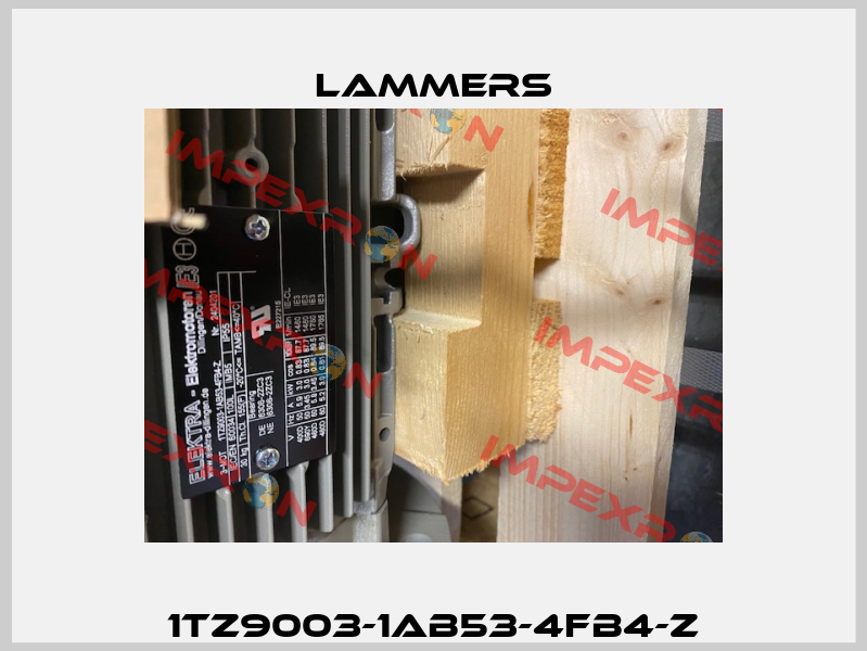 1TZ9003-1AB53-4FB4-Z Lammers