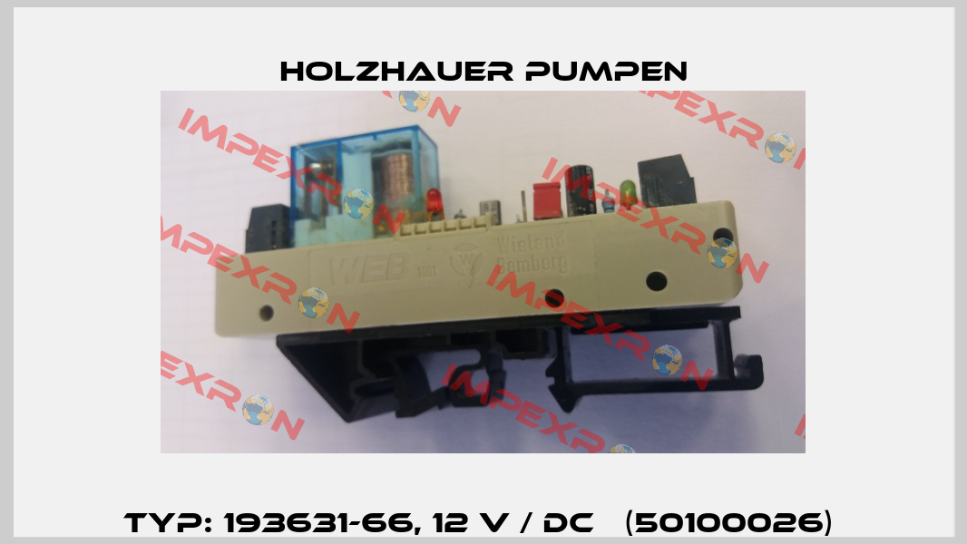 Typ: 193631-66, 12 V / DC   (50100026)  Holzhauer Pumpen