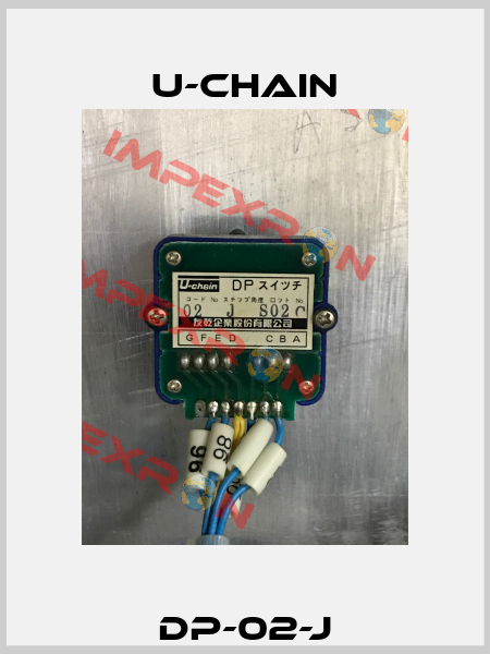 DP-02-J U-chain