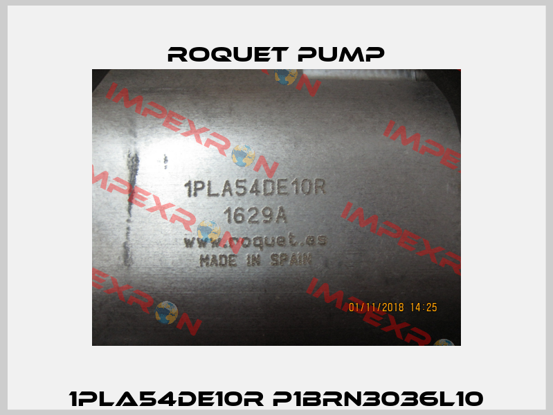 1PLA54DE10R P1BRN3036L10 Roquet pump