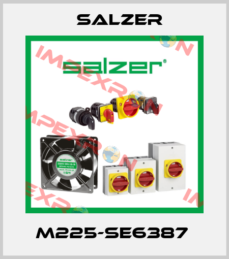 M225-SE6387  Salzer