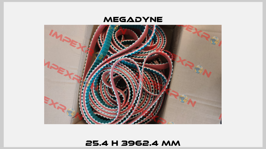 25.4 H 3962.4 mm Megadyne
