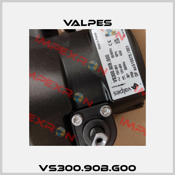 VS300.90B.G00 Valpes