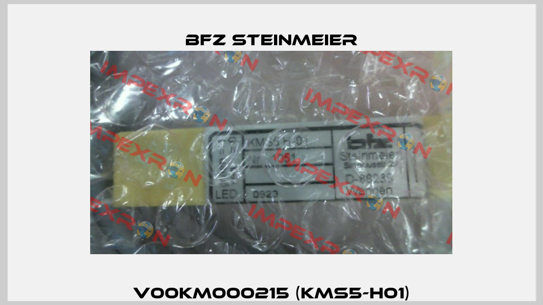 V00KM000215 (KMS5-H01) BFZ STEINMEIER